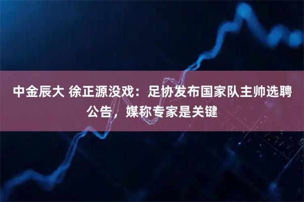 中金辰大 徐正源没戏：足协发布国家队主帅选聘公告，媒称专家是关键