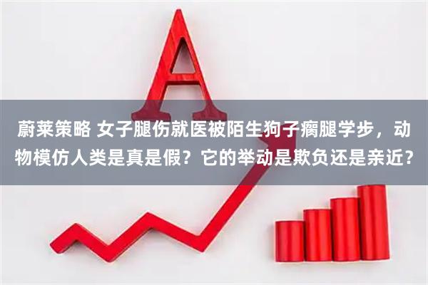 蔚莱策略 女子腿伤就医被陌生狗子瘸腿学步，动物模仿人类是真是假？它的举动是欺负还是亲近？