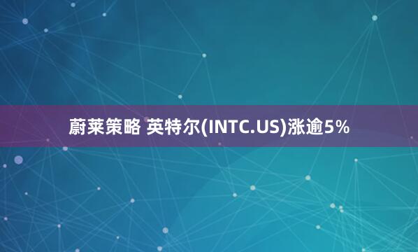 蔚莱策略 英特尔(INTC.US)涨逾5%