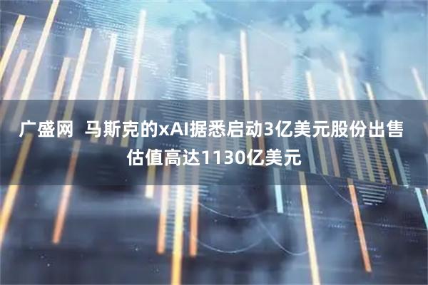 广盛网  马斯克的xAI据悉启动3亿美元股份出售 估值高达1130亿美元
