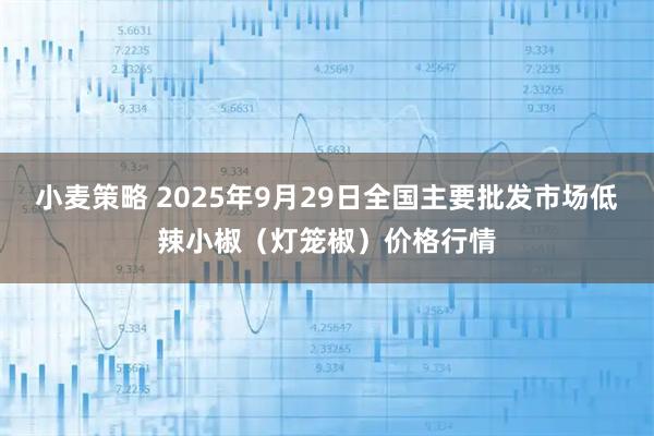 小麦策略 2025年9月29日全国主要批发市场低辣小椒（灯笼椒）价格行情
