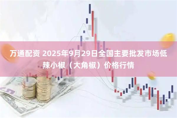 万通配资 2025年9月29日全国主要批发市场低辣小椒（大角椒）价格行情