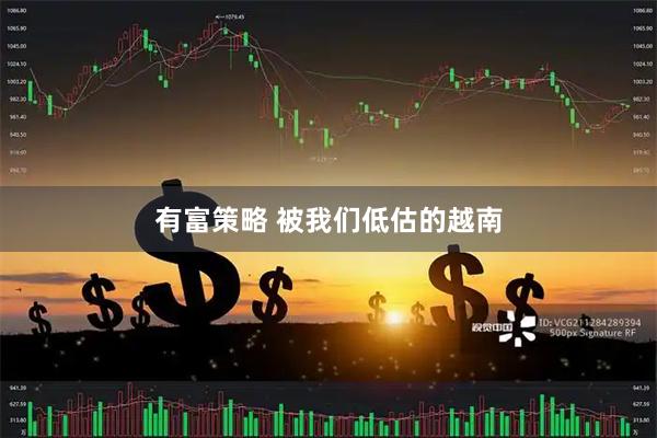 有富策略 被我们低估的越南